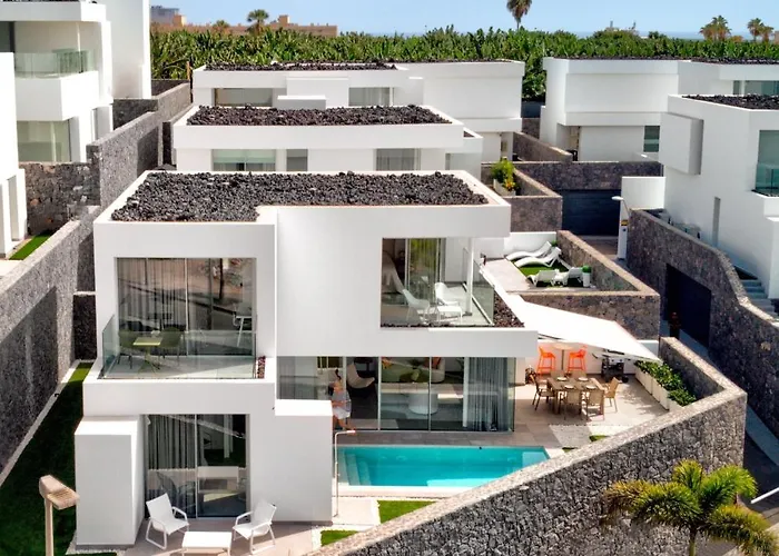 Izabele Orange Callao Salvaje