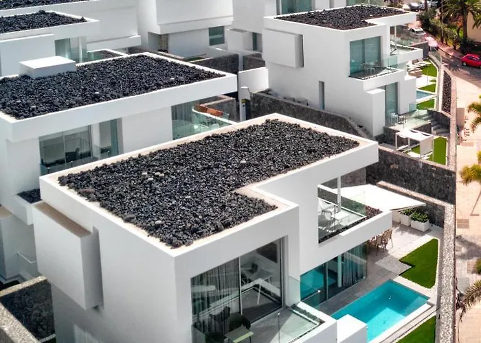 Izabele Orange Callao Salvaje